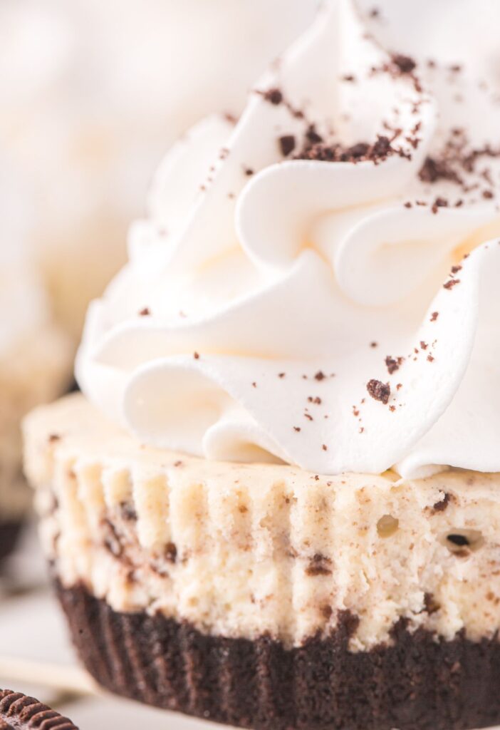 Close up of this mini cheesecake