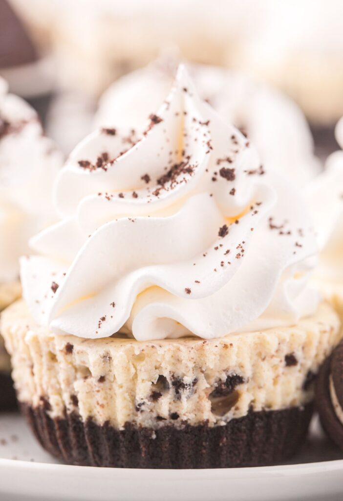 One mini cupcake topped with whipped cream and oreo crumbs.